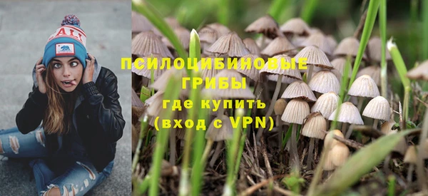 метадон Горняк