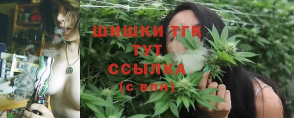 метадон Горняк