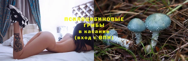 метадон Горняк