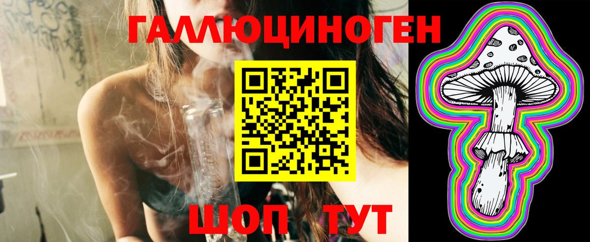 COCAIN Зеленогорск