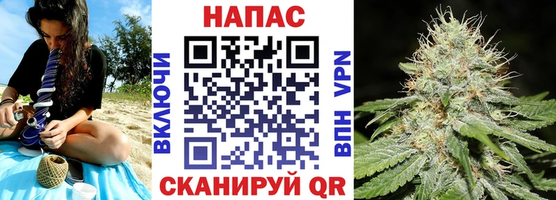 Конопля семена  Зеленогорск 